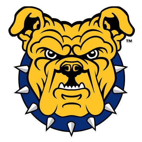 North Carolina A&T University