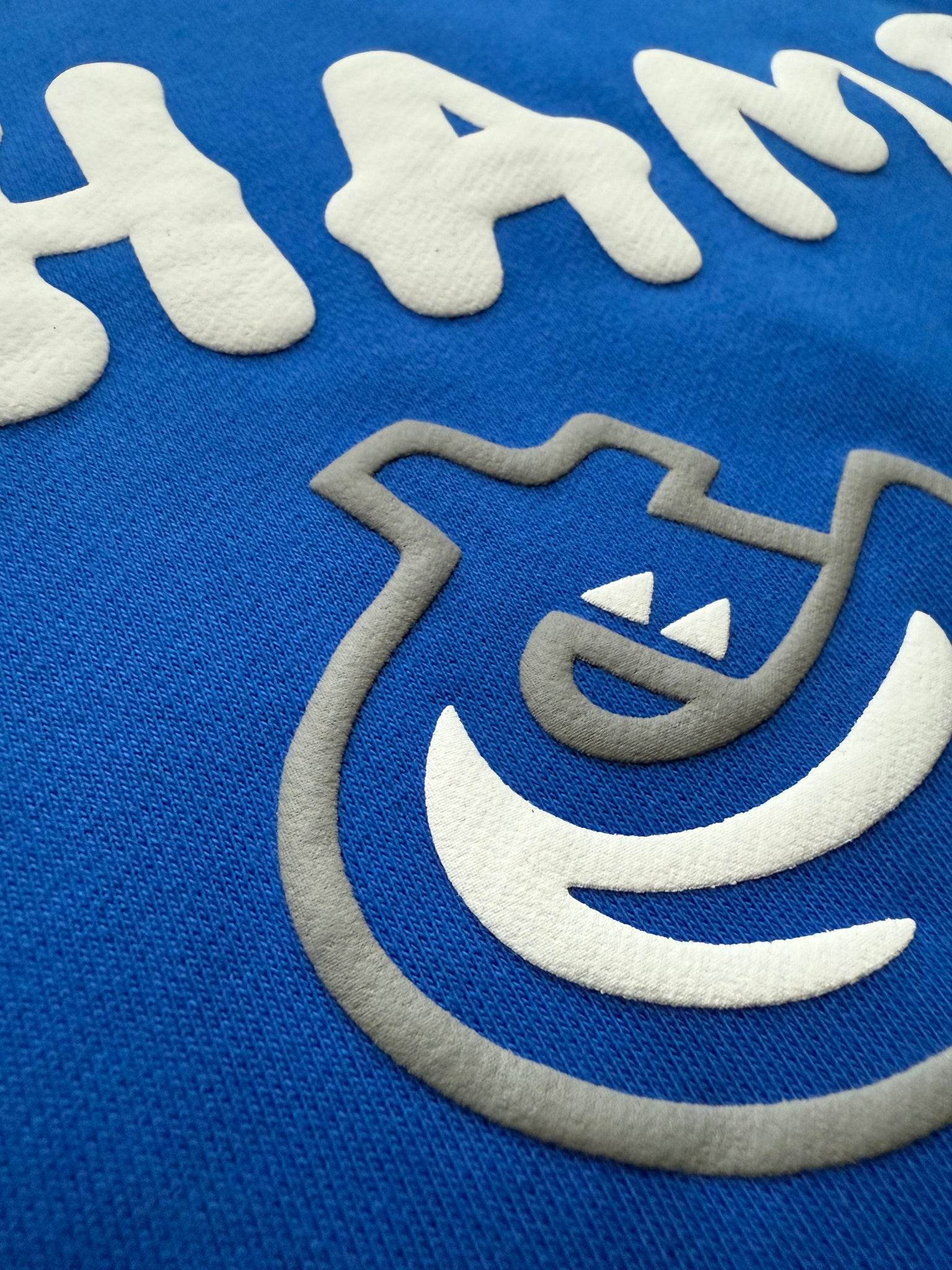 HAMPTON Puffy Paint Hoodie