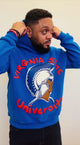 Virginia State Puffy Hoodie